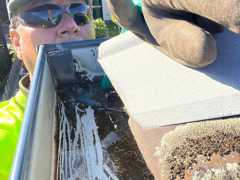 Gutter Cleaning